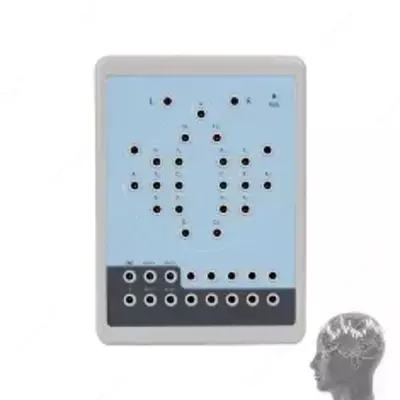  16 kanalli CONTEC Kt88 portativ raqamli EEG apparati - 
