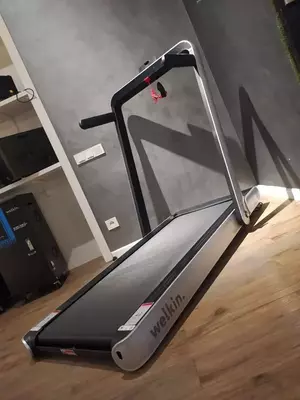 Беговая дорожка Welkin