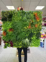 Фитостена - декоративные стены из цветов - от {0} сум