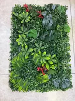 Фитостены из Стабилизированных Растений