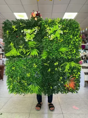 Фитостена - декоративные стены из цветов