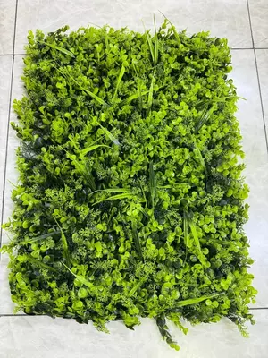 Фитостены из Стабилизированных Растений Ulgurji va chakana