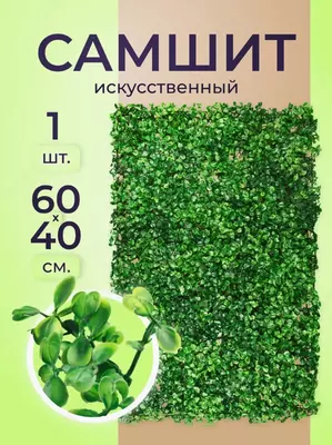 Фитостены из Стабилизированных Растений