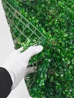 Фитостены из Стабилизированных Растений Оптом и розница