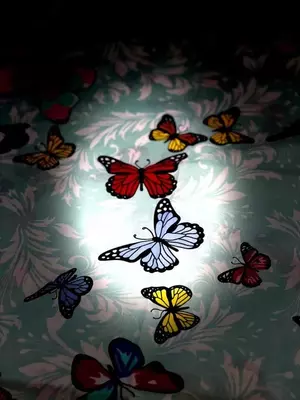 350 000 сум / шт Постельное белье комплект GN-Forfella - Качество и Комфорт для Сна