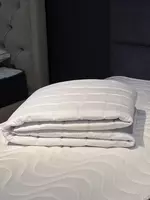 Adyol bahori - kechalar uchun noziklik va yengillik Ulgurji va chakana