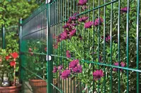 по запросу 2D Ограждение