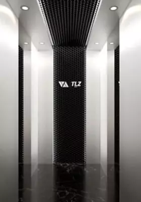 Пассажирский лифт TLZ-E14 - 100 000 000 сум / шт