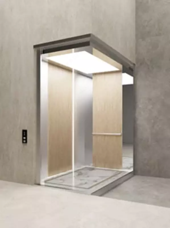 TLZ-E12 Yolovchi lift