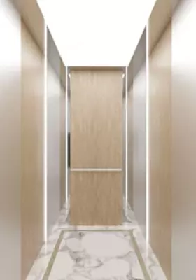 Пассажирский лифт TLZ-E12 - 195 000 000 сум / шт