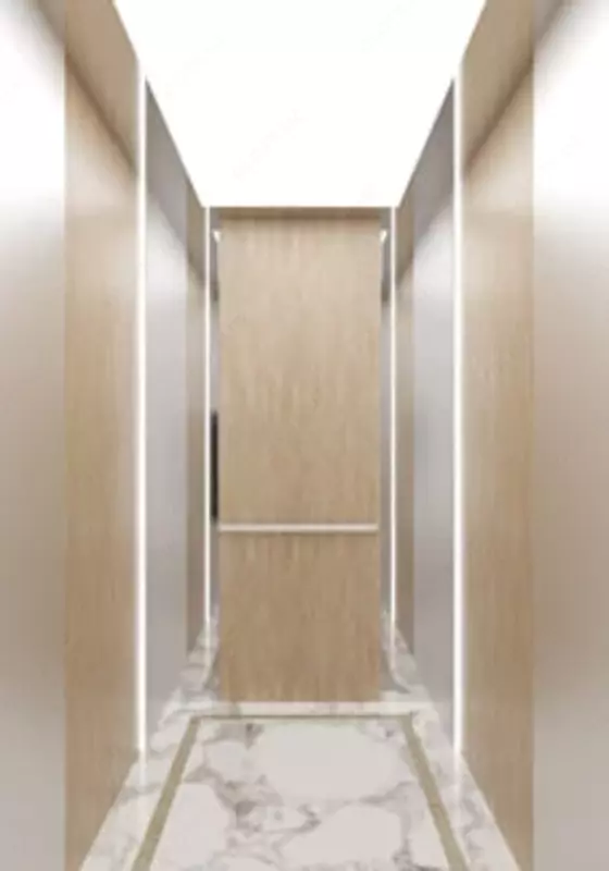 TLZ-E12 Yolovchi lift - 195 000 000 so'm