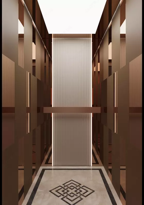 TLZ-EP1 Yo'lovchi lift