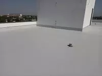 155 000 сум ТПО Protan TPO 1.2