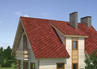 Qizil qo‘ziqorin (Red Currant)