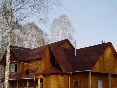 Qizil qo‘ziqorin (Red Currant)