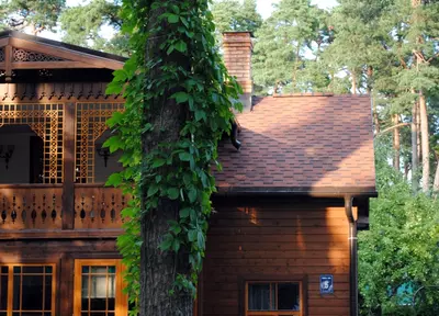 203 000 so'm / kv.m RUFLEX tom qoplamasi uchun shift qoplamasi – RUNA kolleksiyasi