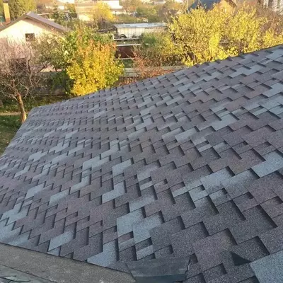 Norvegiya fjordi rangida