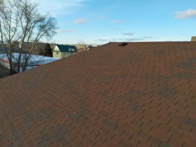 qoramtir shokolad rangli