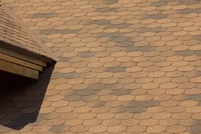 mis rangli soyali - 288 000 so'm / kv.m