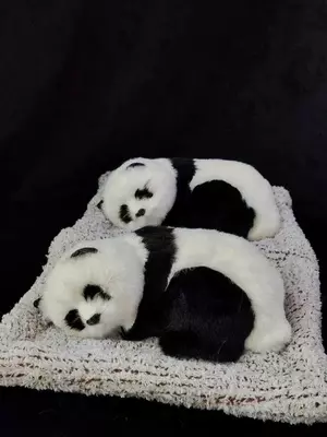 Панда на Подушке Спящая для Автомобиля - 80 000 сум / шт