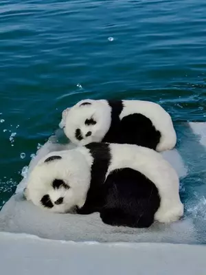 80 000 сум / шт Панда на Подушке Спящая для Автомобиля