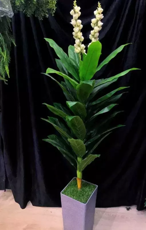 Деревья на Горшке для Офиса