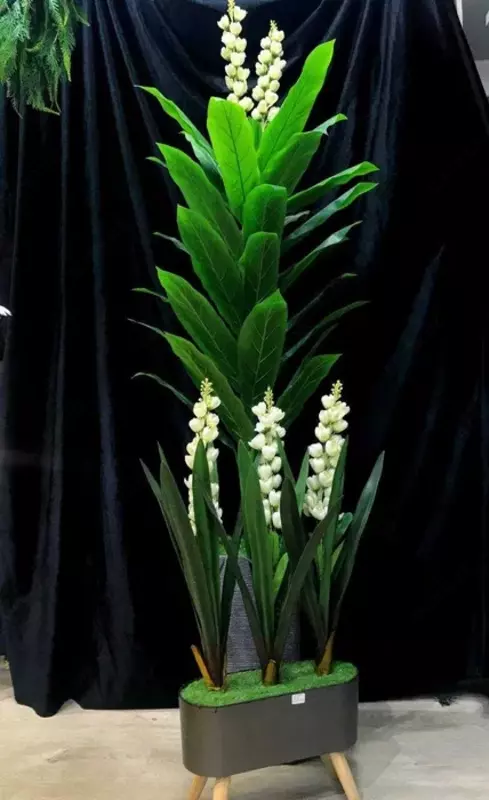 Ресторана и Кафе