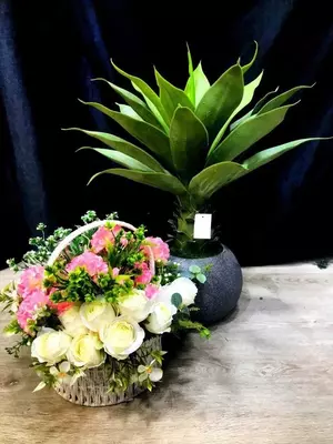 Дерево в Горшке 65см для офиса Лучшая Цена - 500 000 сум / шт