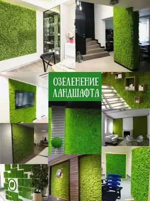 Искусственная Трава на Стену для Декора Газон на 60х40см