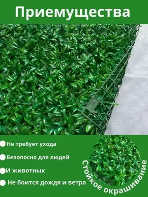 Искусственная Трава на Стену для Декора Газон на 60х40см