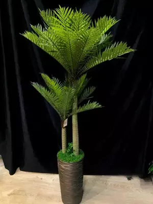 Дерево в Горшке 1.5м - 560 000 сум / шт