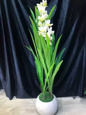 Цветы на Горшке 1.5м - Лучшая Цена и Качество