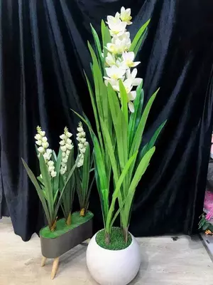 Цветы на Горшке 1.5м - Лучшая Цена и Качество