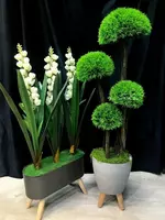 Дерево в Горшке для Офиса