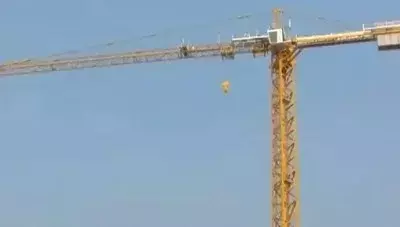 Башенный кран LINATON LT233 A