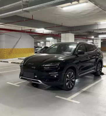 Электромобиль BYD Champion Smart Drive