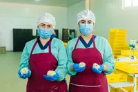 Суточные цыплята Ломанн Сэнди - от {0} сум