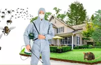 Дезинсекция