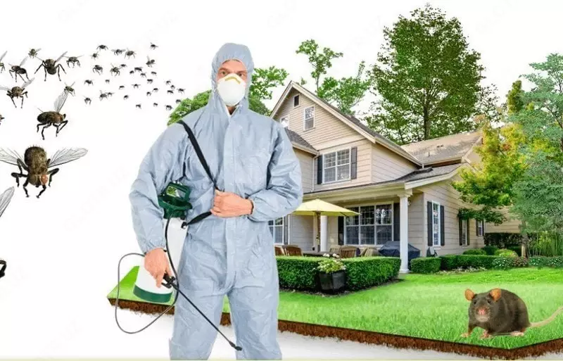 Дезинсекция