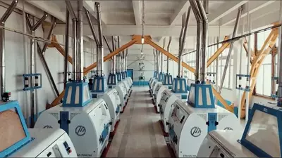 от 175 000 сум от 1 мешок SHARQONA мука первого сорта