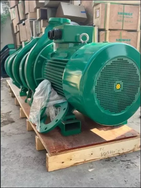 Центробежный моноблочный насос SAAB AST100-250/55 кВт