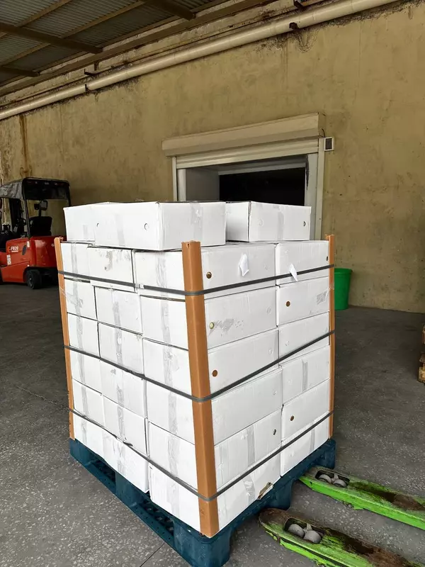 Сливочное масло 25 кг - 82.5% Оптом и розница