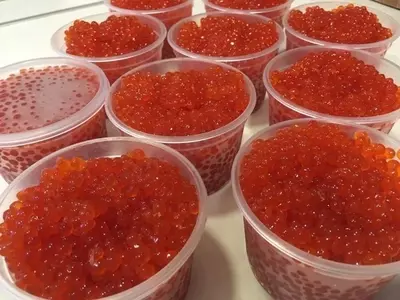 Икра Кеты из Сахалина - от 1 300 000 сум / кг.