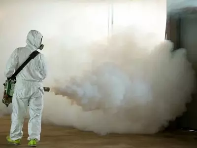 Дезинфекция тараканов Dezinfeksiya tarakan уничтожения тараканов