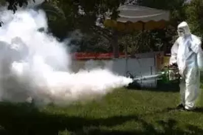 Уничтожение змей dezinfeksiya ilon - 22 000 сум