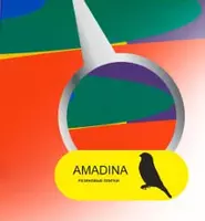  Уличная детская игровая площадка METALIX ДИП 05  возраст. кат. 4+  S=67 м2  вес 688 кг - 