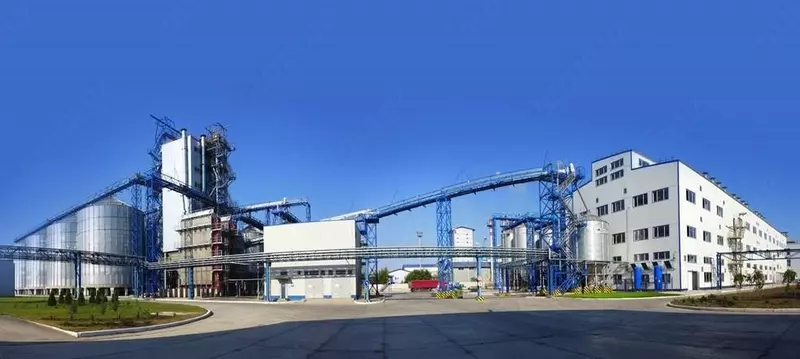 Подсолнечное масло.