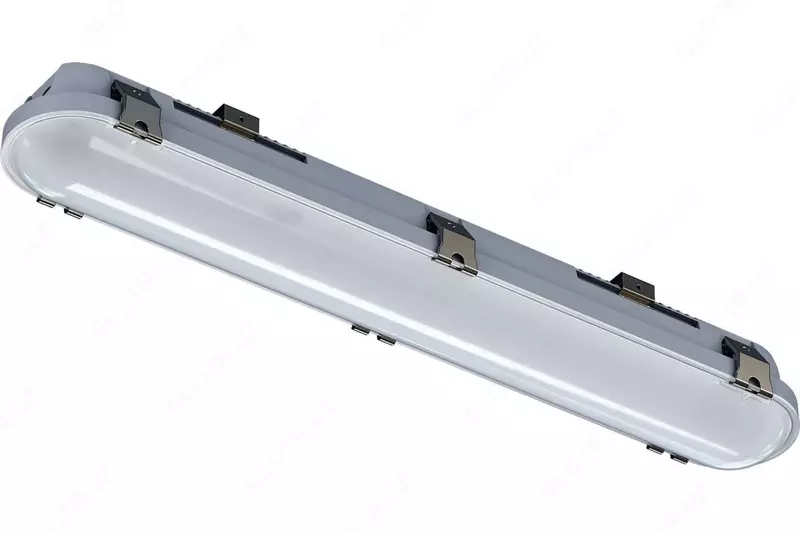 Светильник ДСП IP65