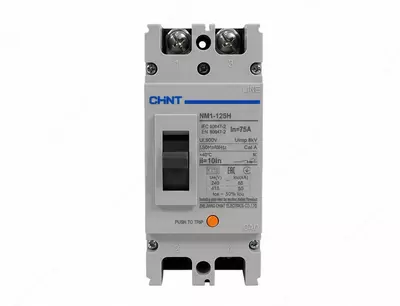 NM1-125H 2P 100A 65/50kA avtomatik o‘chirgich