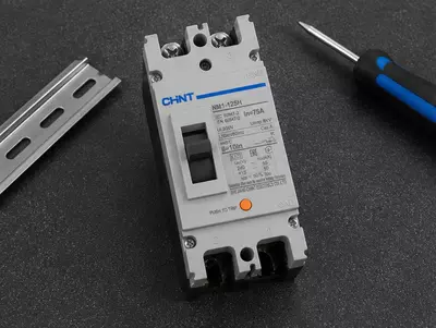   NM1-125H 2P 100A 65/50kA avtomatik o‘chirgich